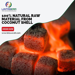 Charbon à chicha en coquille de noix de coco, haute qualité de Thaïlande, vente en gros, 100% naturel, Lintas Era - Product Image 4