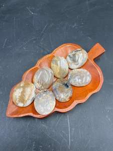 Pierre de palmier en dendrite de tigre naturelle polie 35x45x15 mm, décoration de pierre à main et collection de cristaux - Product Image 4