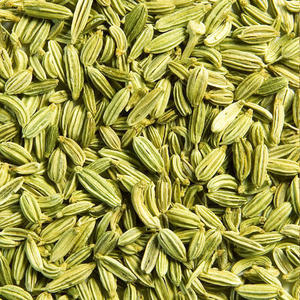 Semillas de Hinojo 99% Puras, Clasificadas por Doble Sorteo, Provenientes de la India, a Precio Competitivo, con 1 Año de Vida Útil - Product Image 3