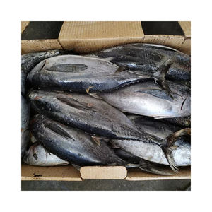 פירות ים טריים דגים קפואים טונה פסים 1.5 ק "ג עד - Product Image 3