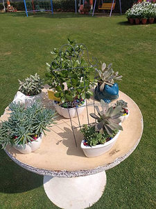 Enrejado de metal más fuerte sin óxido, soporte para plantas, partidarios de plantas para vides y plantas trepadoras y Personalización completa - Product Image 3