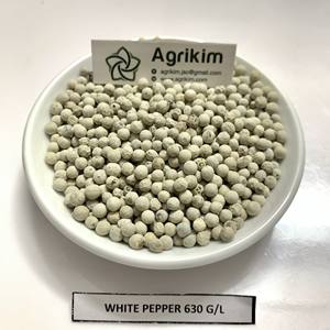 Oferta Especial Pimienta Blanca ASTA Orgánica Origen Vietnamita 600G/L 630G/L Limpieza a Máquina - Product Image 3