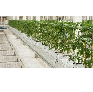 ถุงปลูกมะพร้าวแบบ pith ถุงปลูกธรรมชาติและเป็นมิตรต่อสิ่งแวดล้อมสำหรับผักดอกไม้และพืชในร่มพร้อมใช้งาน - Product Image 3