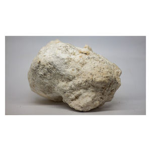 Cápsulas de Extracto Animal de Ámbar Gris Blanco de Alta Calidad para Uso Cosmético, Listas para Exportación, Opción de Precio Económico para Compradores, Personalizadas - Product Image 3