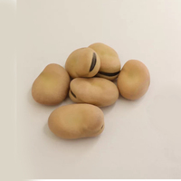 Vente en gros de fèves séchées 100% naturelles de haute qualité en provenance du Brésil, emballage en vrac de 25 kg, qualité alimentaire, prix raisonnable, livraison rapide
