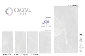 Belgium Bianco Premium, carreaux de sol en mosaïque de qualité supérieure, finition mate moderne, 600x1200 mm, haute qualité, 24x48, style classique, céramique blanche - Product Image 2