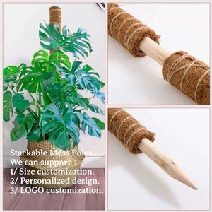 Paquete de 2 postes de musgo flexibles Monstera, accesorios de soporte <span class=keywords><strong>para</strong></span> plantas, estacas de enrejado <span class=keywords><strong>para</strong></span> interiores <span class=keywords><strong>para</strong></span> escaladores en macetas, macetas altas <span class=keywords><strong>para</strong></span> macetas - Product Image 5