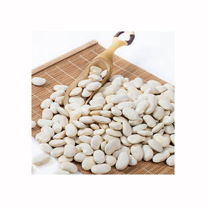 Frijoles blancos certificados disponibles para la venta, ideales para empresas de enlatado y envasado - Product Image 4