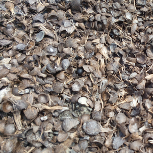 Venta Caliente de Residuos Agrícolas, Stock a Granel de Cáscara de Palma - Product Image 2