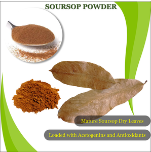 Poudre de feuilles de graviola au corossol 100gm thé au corossol sans conservateurs séché au soleil exportation internationale inde - Product Image 5