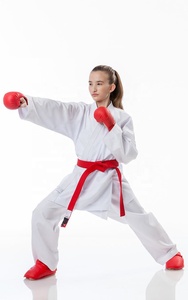 Uniforme de Karate personalizado de alta calidad, diseña tu propia ropa de artes marciales para Judo, venta al por mayor disponible - Product Image 5