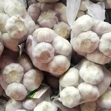 ขายกระเทียมออร์แกนิก | หลอดกระเทียมระดับพรีเมียมสดปราศจากจีเอ็มโอ | ขายส่งและสั่งซื้อจำนวนมาก - Product Image 3