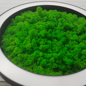 จี้อะคูสติกทรงกลมสีเขียวแบบใหม่โคมตรงมีหลายขนาด - Product Image 3