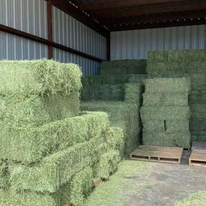 Heno de Alfalfa 100% Natural de Primera Calidad, Heno de Pasto Rhodes para Alimentación Animal, en Bolsas de PP de 25 y 50 kg - Product Image 3