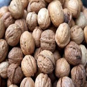 Nueces sin Cáscara al por Mayor en Cajas al Vacío de 10 kg, Nueces Frescas de Nueva Cosecha y Granos Directamente del Fabricante - Product Image 2