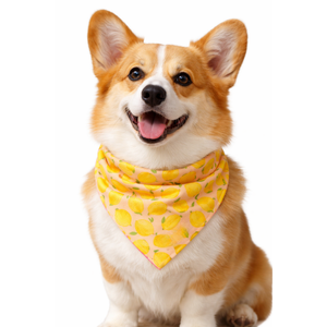 Adjustable <b>Dog</b> Bandana Soft Polyester Triangle <b>Scarf</b> Comfortable Pet Neckwear for Daily Wear and Outdoor Use - Product Image 4