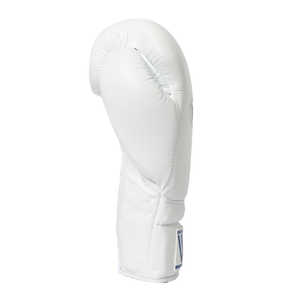 Gants de boxe personnalisés de 10 oz et 12 oz pour la lutte, cadeaux de Noël et de Thanksgiving pour hommes - Product Image 1