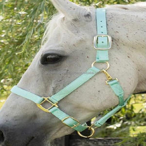 Licou de cheval en Nylon double, robuste et Durable, avec couronne réglable, matériel de qualité supérieure, menton réglable et bras roulant - Product Image 4