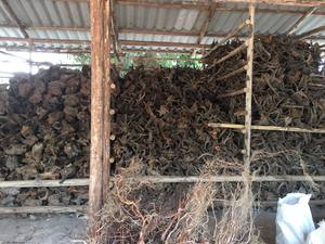 Aquarium <b>Driftwood</b> <b>Sale</b> - Product Image 6