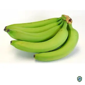 批发卡文迪许香蕉绿色优质100% 天然新鲜香蕉供应商越南自然色甜味