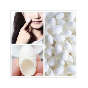 Venta al por mayor nueva cosecha Mulberries Silk Cocoon Factory Precio Directo Organic Soft Silk Cocoon para aplicación de textiles y cosméticos - Product Image 4