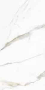 Cerrato 800x1600mm Carreaux de porcelaine indien grande dalle brillant mat haute brillance 9mm Floor Premium - Product Image 2