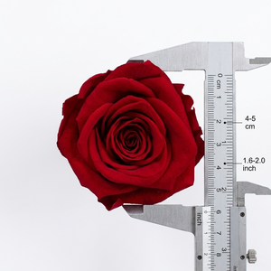 Teste di Rose Stabilizzate Naturali al Tatto Reale, Fiori Rossi per Matrimoni, Festa della Mamma, Natale - Lunga Durata 3-5 Anni, Decorazione Regalo Fai da Te - Product Image 6