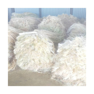 Fibra de sisal cruda asequible para la fabricación de productos ecológicos para el hogar. - Product Image 6