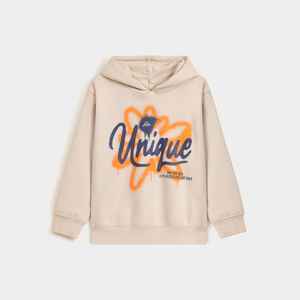 Sweats à capuche en coton 100% pour hommes, tenue décontractée tendance, design sérigraphié unique, logo personnalisable de haute qualité pour la vente en ligne d'hiver - Product Image 1