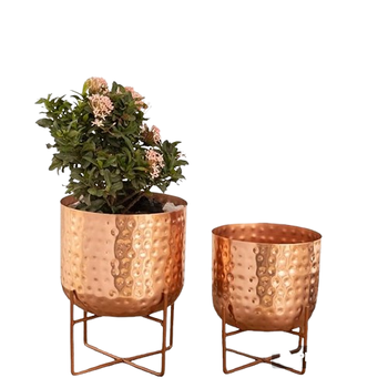 ตามที่แสดง