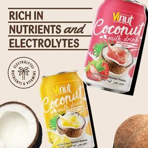 Bebida de leche de coco original | 330ml (paquete de 24), a base de plantas, sin OGM, sin azúcar añadido, electrolitos esenciales, OEM ODM - Product Image 3