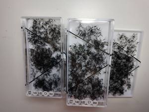 Ventilateurs 14D/ 1000 en fibre Pbt coréenne de style nouveau et chaud/boîte ventilateurs de Promade en vrac de 0.03mm à 0.20mm fabriqués au Viet Nam - Product Image 2