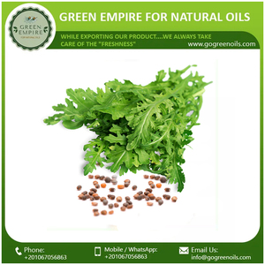 Huile de support de roquette rucola pressée à froid de haute qualité pour les soins de la peau au prix de gros - Product Image 6