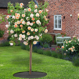 Bande de paillage ronde pour arbres, 32 pouces, en non-tissé, épaisse, réutilisable, pour le contrôle des mauvaises herbes et la protection des arbres et des fleurs, à faible coût - Product Image 4