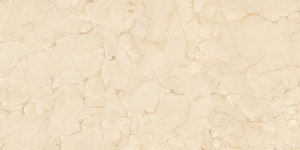 Azulejo de granito indio Diseño moderno ceramique et de fabricación de porcelana en La India para la recepción del hotel. - Product Image 2