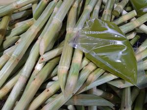 Jugo de Caña de Azúcar Liofilizado al por Mayor para Bebidas Industriales, Formulación OEM y Exportación Global - Product Image 6