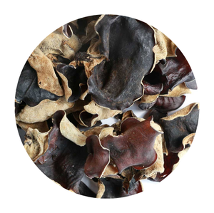 CHAMPIGNON NOIR SÉCHÉ NATUREL: INGRÉDIENT PARFAIT POUR LES RECETTES TRADITIONNELLES ET MODERNES - Product Image 1