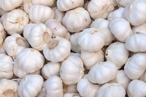 Organic <b>Fresh</b> <b>Garlic</b> for Food Use - Product Image 3