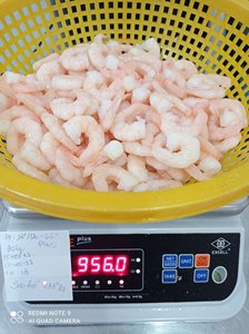 Cooked Frozen <b>Shrimps</b> High-quality Cooked Frozen <b>Shrimps</b> in Vietnam Hot <b>Sale</b> Cooked Frozen <b>Shrimps</b> - Product Image 3