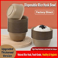 Ensemble de vaisselle jetable en coque de riz, bols et assiettes ronds en plastique blanc mat, style moderne et minimaliste pour les réunions à la maison et les repas en extérieur