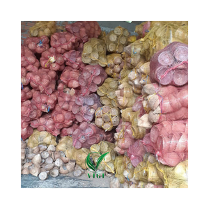 Moitiés de coquille de noix de coco crue directe d'usine Vietnam-faites pour l'artisanat écologique, le charbon de bois de barbecue, les tasses de bougie et le jardin - Product Image 5