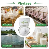 Poudre d'enzyme phytase de qualité alimentaire 10000 U/g pour l'alimentation des volailles et des porcs