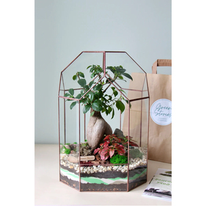 Hot Selling <b>Vintage</b> New Arrival Black Colour Terrarium <b>Vase</b> Planter Decorate in Metal Border for Home & Office Decorate - Product Image 5