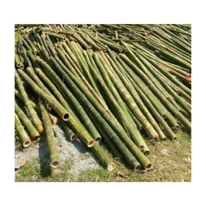 Bastones de bambú naturales fuertes para soporte de construcción, palos de bambú gruesos duraderos para proyectos de marco al aire libre - Product Image 1