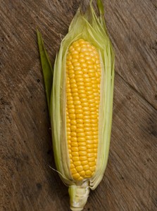 ข้าวโพดเหลืองแห้งสำหรับอาหารสัตว์ |   ข้าวโพดเหลืองเกรดอาหารสัตว์ จำหน่ายจำนวนมาก - Product Image 2