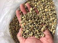 ÉCRAN À CAFÉ ROBUSTA 18 S13-S16-S18 POLI NON LAVÉ/PROPRE/HUMIDE Grains de café de haute qualité Vente en gros Vietnam