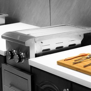 Usine Heavy Duty Premium SUS 304 Acier Inoxydable Intégré Barbecue Barbecue Armoire Gaz De Cuisson Construit en Double Brûleur Latéral Grill - Product Image 4