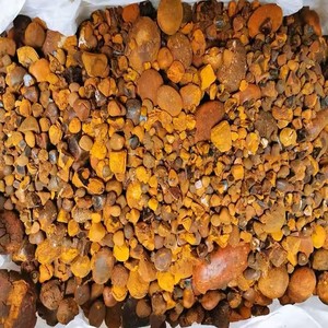 Vente en gros de calculs biliaires OX naturels et purs de qualité supérieure, calculs biliaires de bétail, acheter des calculs biliaires de vache, calculs biliaires de vache à vendre - Product Image 5