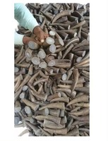 Pointes de corne de buffle polies sculptées à la main de qualité supérieure, toucher naturel, vente en gros, artisanat naturel, taille personnalisée, pour la maison