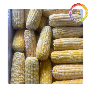 Conveniente maíz congelado | Ideal para cocinar bocadillos saludables o agregar a sus comidas favoritas | Origen de Vietnam - Product Image 5